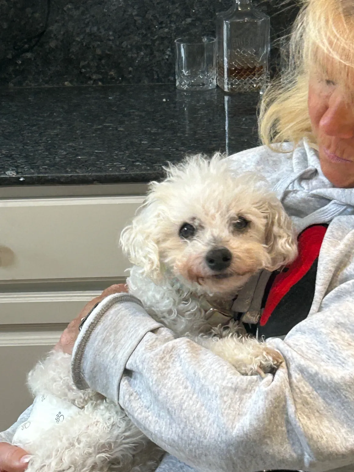 Person holding a small white fluffy dog.